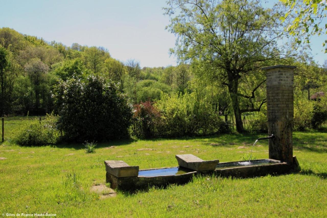 Bed and Breakfast Au Fil Du Temps Fougerolles-Saint-Valbert Exterior foto